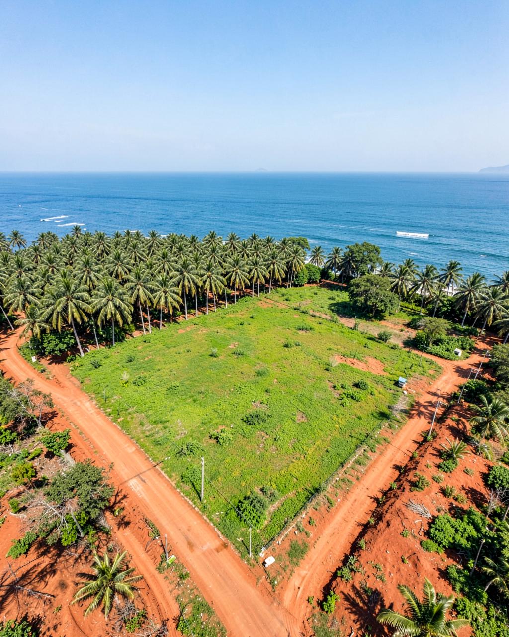 Land & Plots